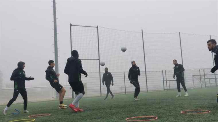 ASC Saint-Apollinaire will try to send dreams against Dijon