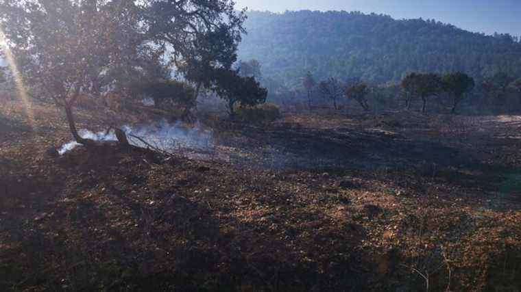 Access to the Plaine des Maures nature reserve is strictly prohibited