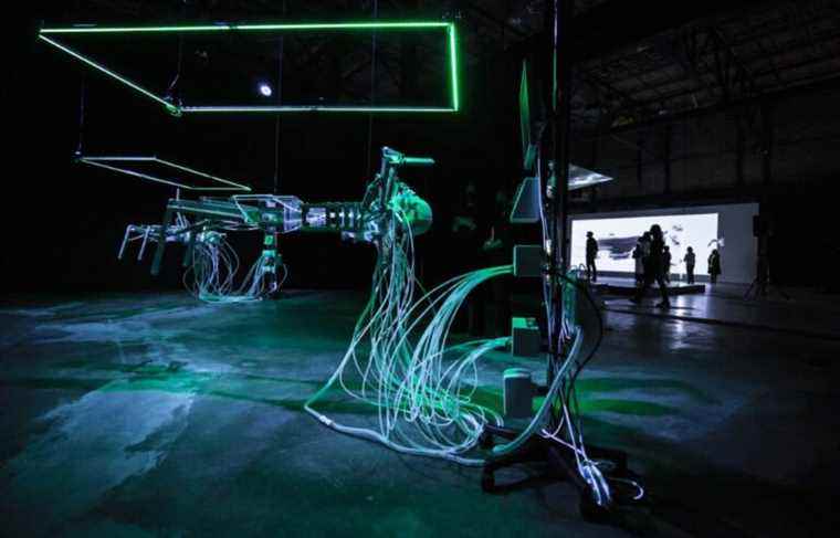 An art in continual transformation with the 5th International Digital Art Biennial