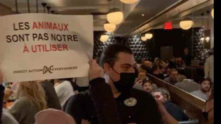 Animal protection: activists burst into the restaurant Au Pied de Cochon