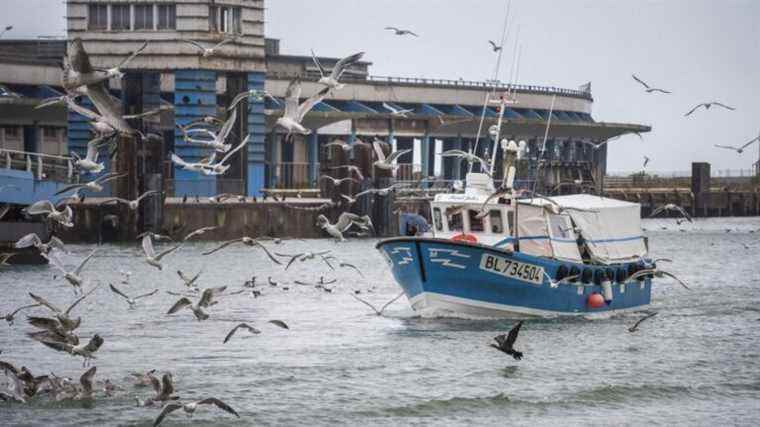 Annick Girardin announces a fleet exit plan for boats without licenses