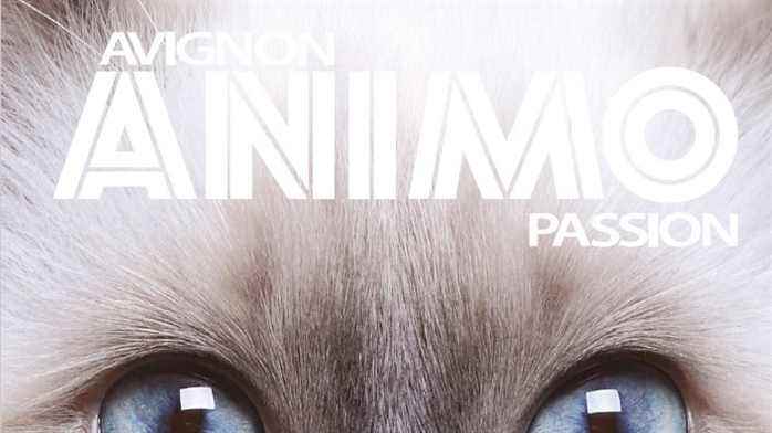 Avignon Animo Passion, the meeting place for animal lovers