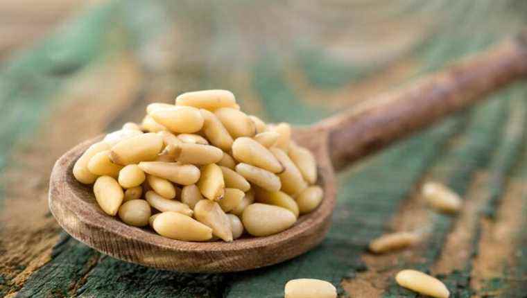 Beauty, well-being: pine nut oil in cosmetics