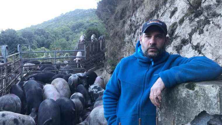 Bernard-Antoine Acquaviva, breeder and beetle farmer