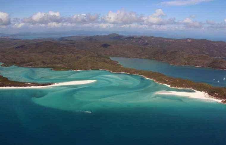 Bleaching affected 98% of Great Barrier Reef, study finds