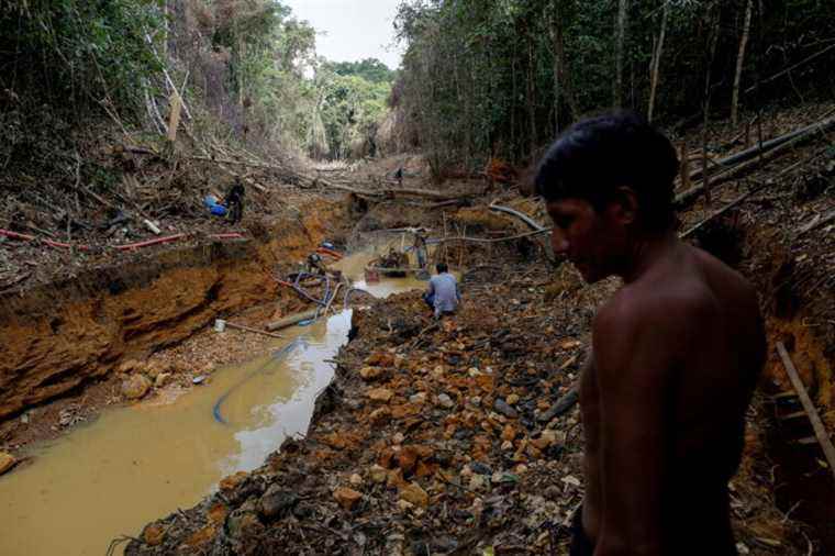 Brazil |  Record increase in deforestation in the Amazon