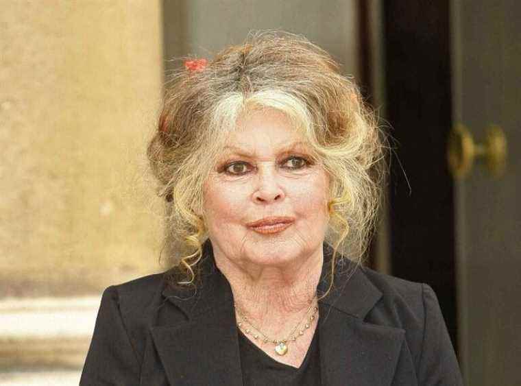 Brigitte Bardot sentenced for racial insults: Her heavy fine finally revealed!