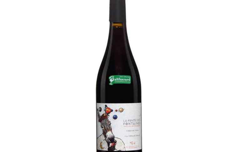 Cabernet Franc 2019, La Ferme des Fontaines, AX Amirault, Saint-Nicolas de Bourgueil, Loire, France