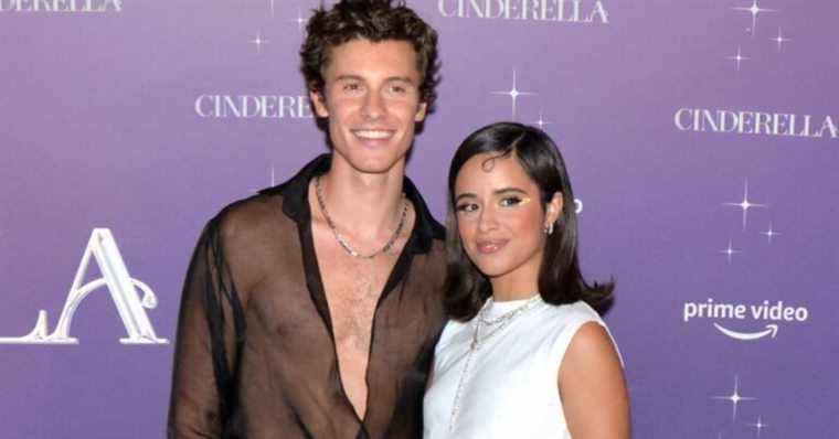 Camila Cabello and Shawn Mendes: Surprise breakup after 2 years of love