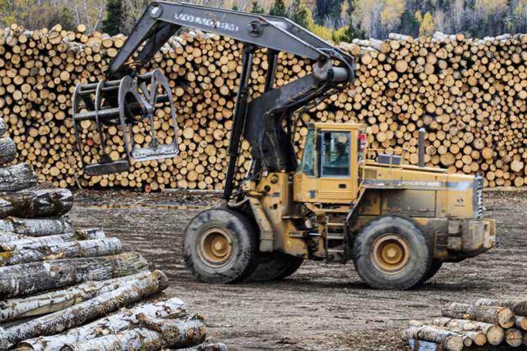 Canadian Lumber |  US tax doubles