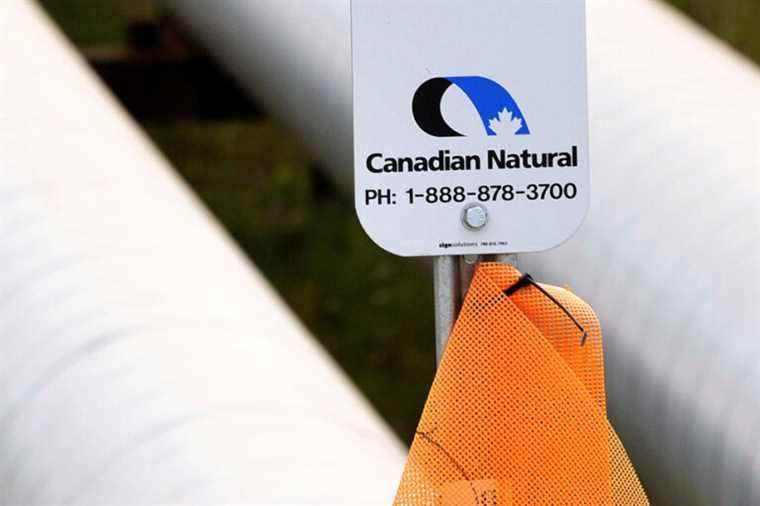 Canadian Natural acquires Storm Resources