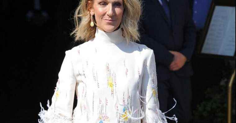 Celine Dion victim of an accident with her hygiene?  Funny revelation …