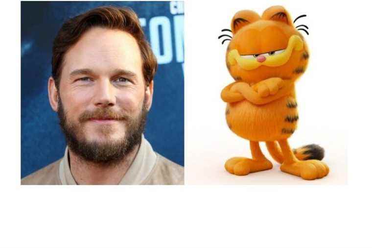 Chris Pratt will be Garfield |  Press