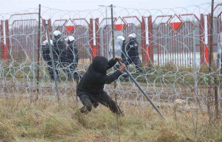 Clashes between Polish forces and migrants on the border with Belarus