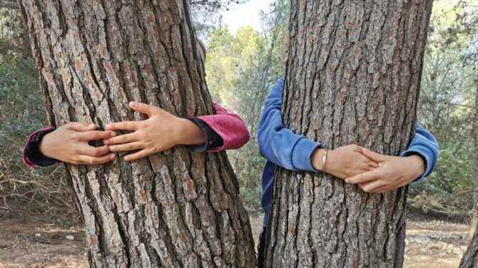 Cuddling in trees to treat stress, it’s possible in the Hérault