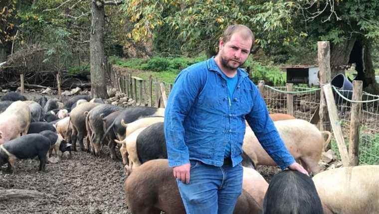 È campà quì in u Murianincu Campuloru: Angel Pasqualini, breeder