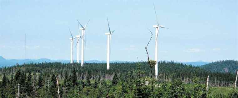 Electricity needs: François Legault relies on wind power