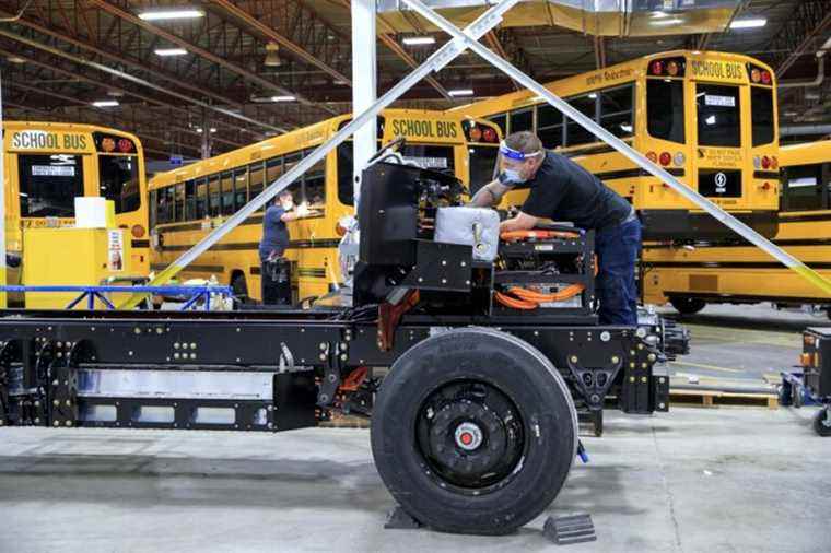 Electrification of school transport |  Lion won’t be able to do it all alone, Navistar warns