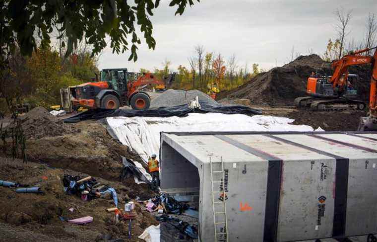 Environment: Steven Guilbeault will finally act to protect the tree frog in Longueuil