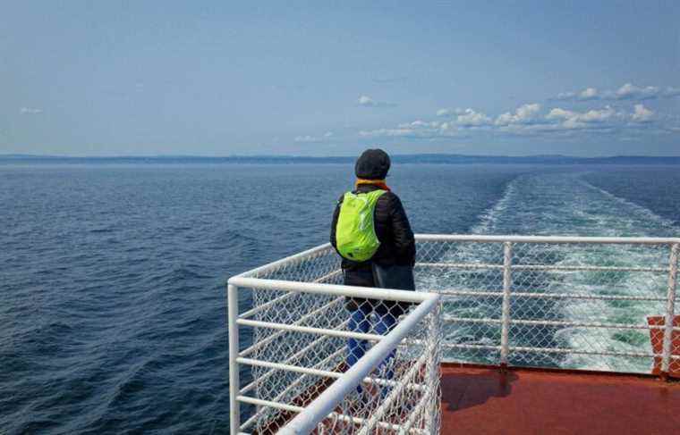 Environment: sudden drop in oxygen in the waters of the St. Lawrence