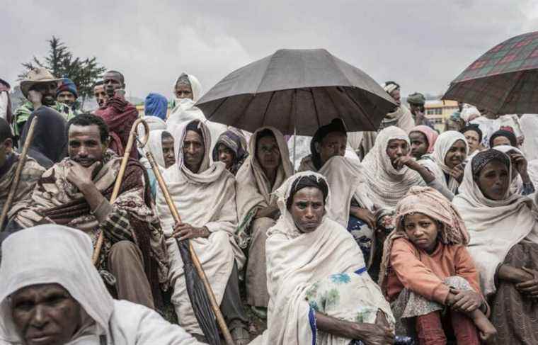 Ethiopia: more than 9 million people suffer from hunger in the north, according to the UN