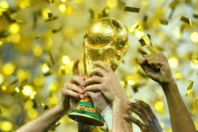 FIFA calls for a biennial World Cup