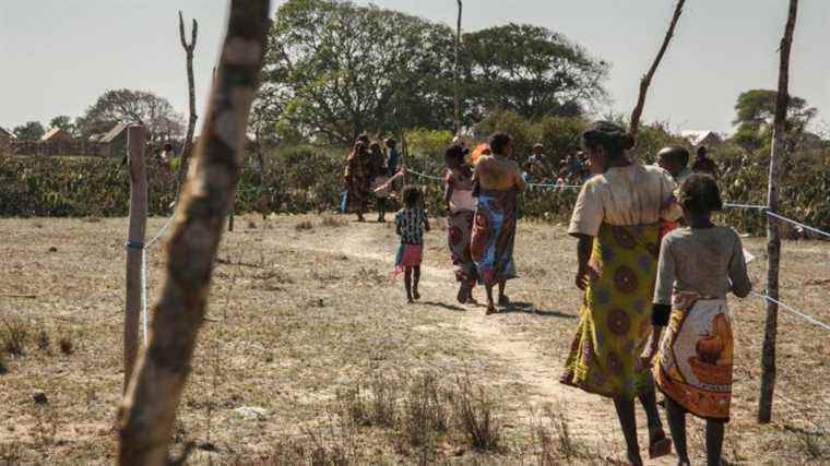 Famine in Madagascar is first caused by global warming, UN says