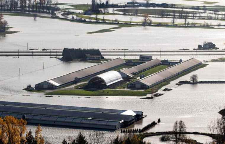 Floods: In British Columbia, the extent of damage as winter approaches is a challenge