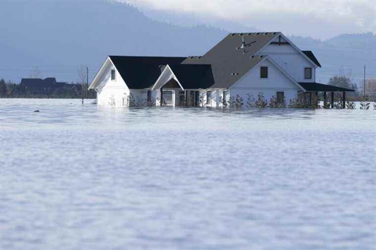 Floods in British Columbia |  When nature takes back its rights