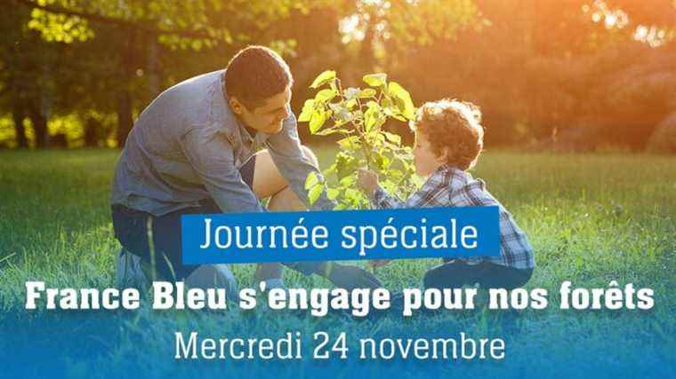 France Bleu Gard Lozère is committed to our forests.