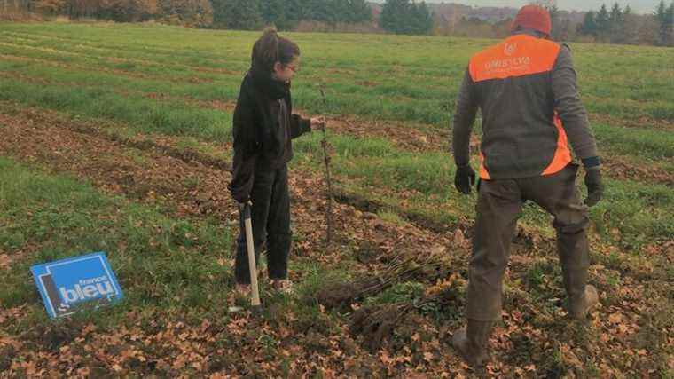 France Bleu Limousin and its listeners are committed to the forests