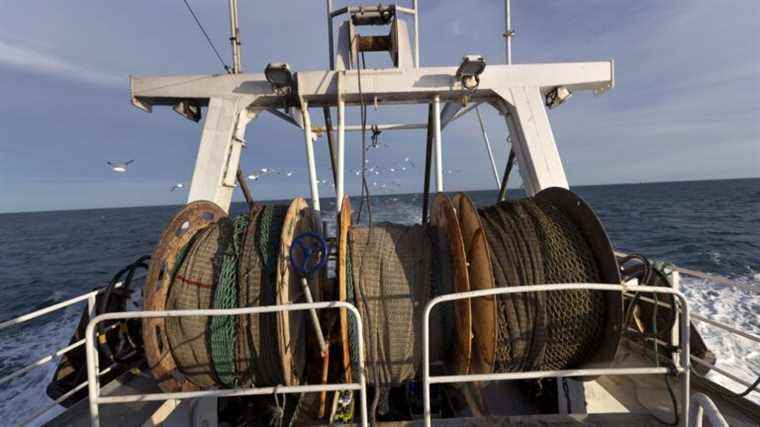 “France has shown a little renunciation”, regrets the regional fisheries committee of Normandy