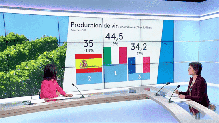 France only 3rd producer country