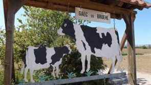 Gaec du Bruehl dairy farm in Eckwersheim