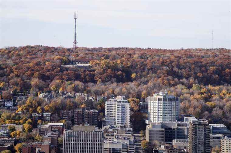 Global warming |  Montreal organizations are mobilizing to accelerate the transition