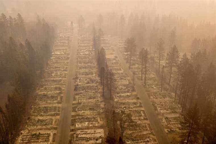 Global warming, the main culprit in the fires in the American West