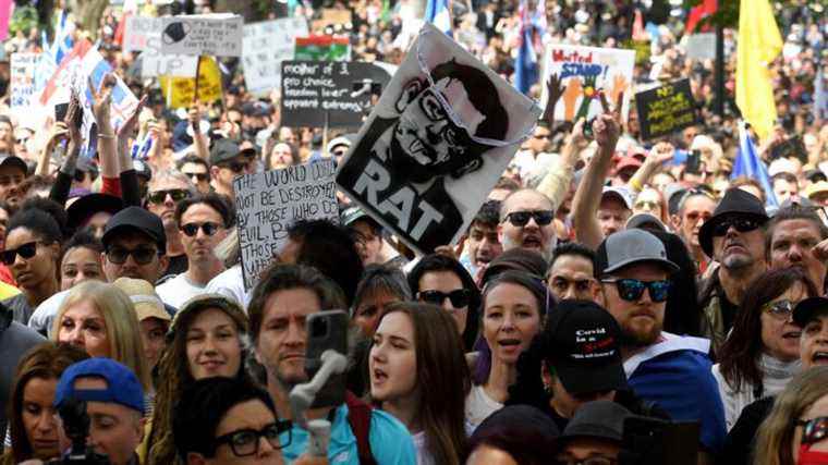 Guadeloupe, Netherlands, Austria … Demonstrations against health restrictions are increasing