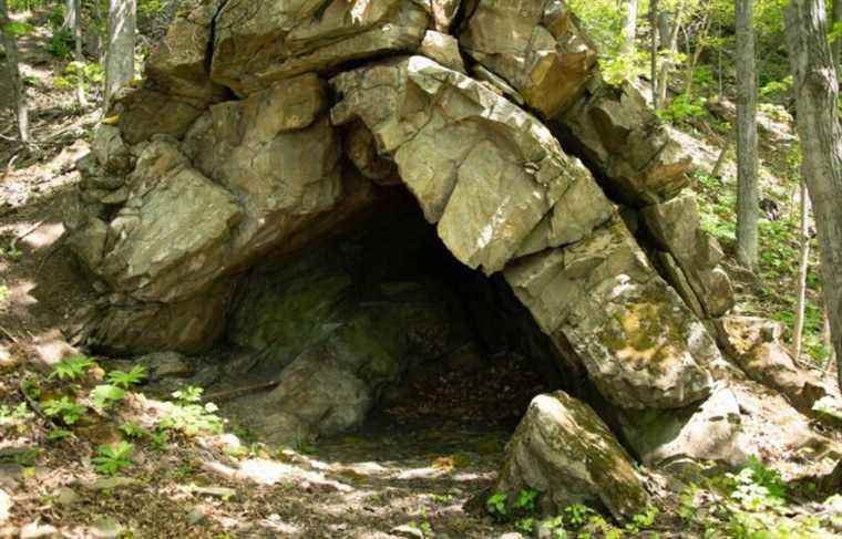 History: the raspberry cave on Île d’Orléans