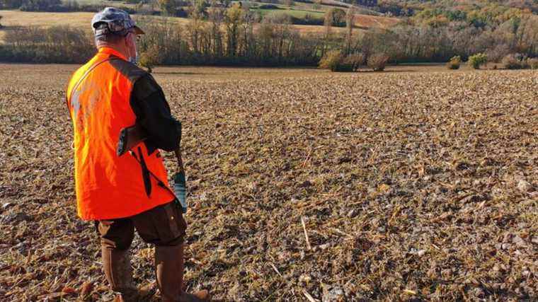 Hunting accidents: what do the numbers say?