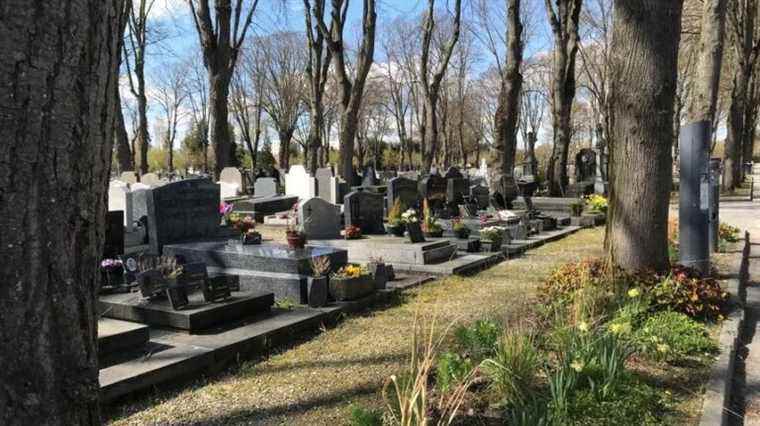 In Amiens, cemeteries impacted by climate change