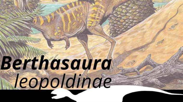 In Brazil, a new species of toothless dinosaur has been discovered