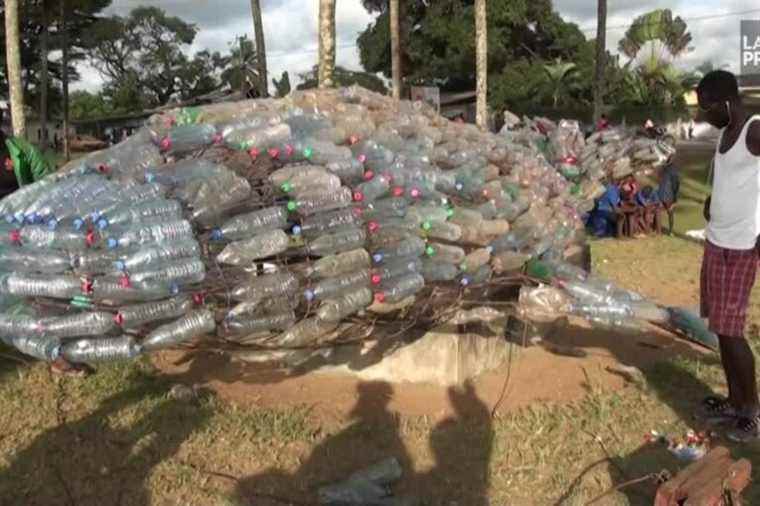 In Cameroon, a giant whale carved from plastic bottles