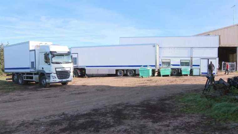 In Côte-d’Or, the first mobile slaughterhouse in France has entered service for cattle breeders