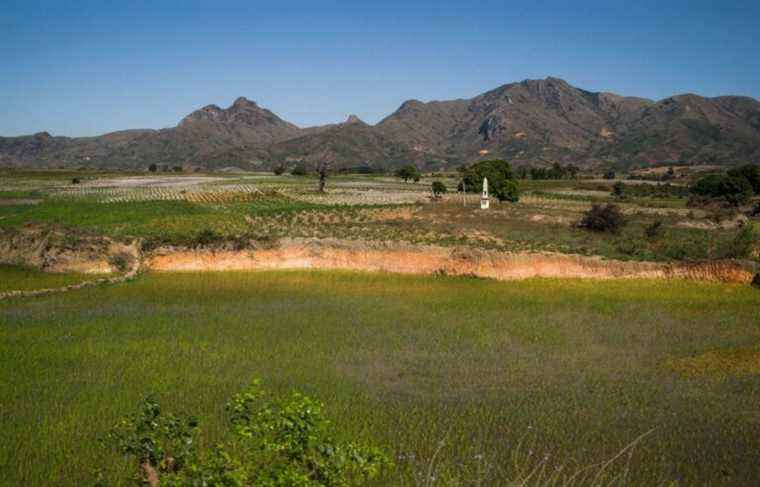 In Madagascar, the first famine caused by global warming