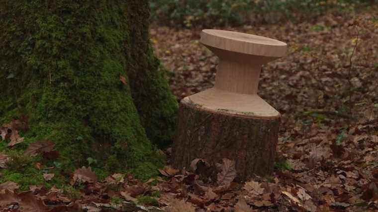 In Sarthe, the ONF is organizing a treasure hunt for wooden stools to raise awareness of forest management