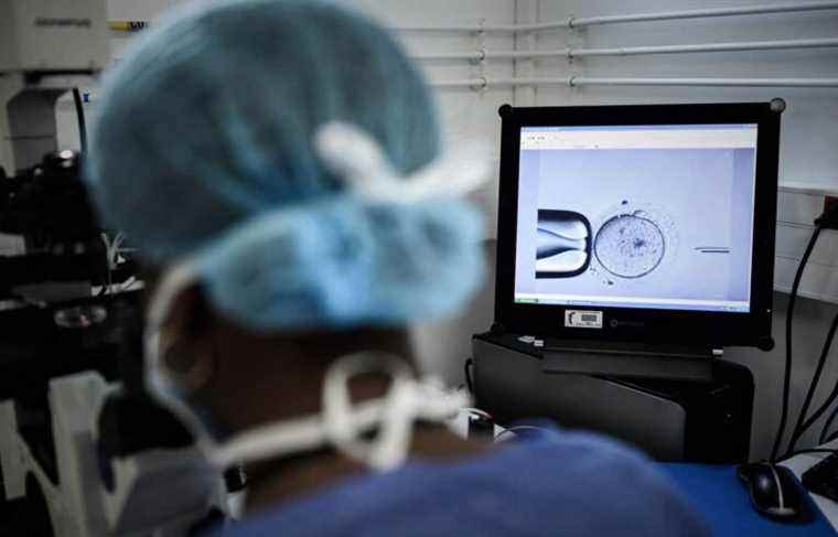 In vitro fertilization will be covered by the public plan from November 15