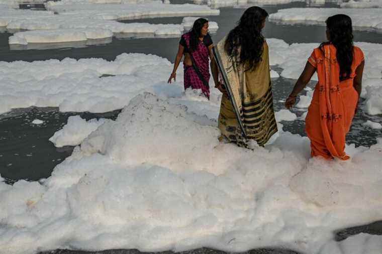 India: the Yamuna, sacred river, is covered with toxic moss