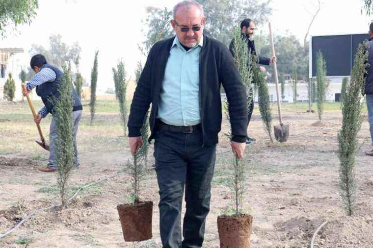 Iraq |  Trees to green a university after the war