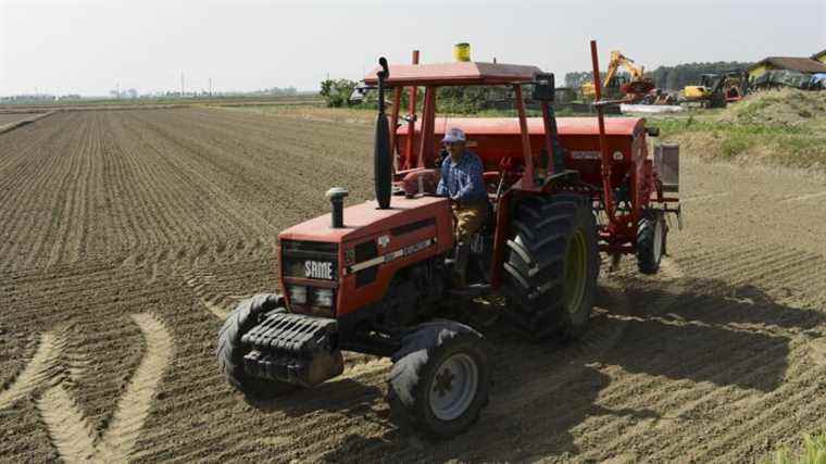 Italy and the Czech Republic facing the reform of the Common Agricultural Policy