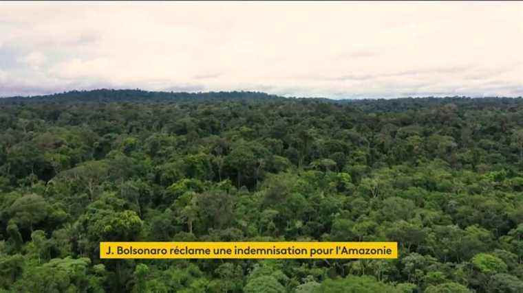 Jair Bolsonaro seeks compensation for the preservation of the Amazon